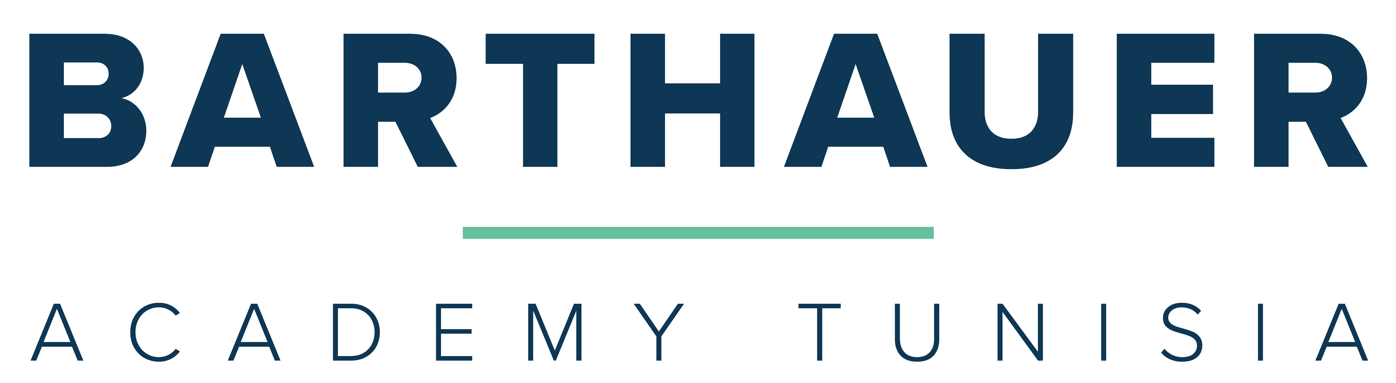 barthauer-academy.com Logo